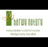 Barwy Natury Pracownia Florystyczna