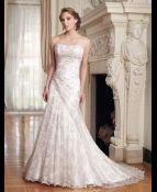 sophia tolli felice